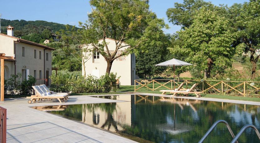 Photo of Vineyard Dream