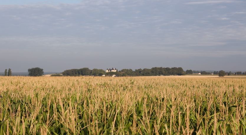 Photo of Loire Valley Delight