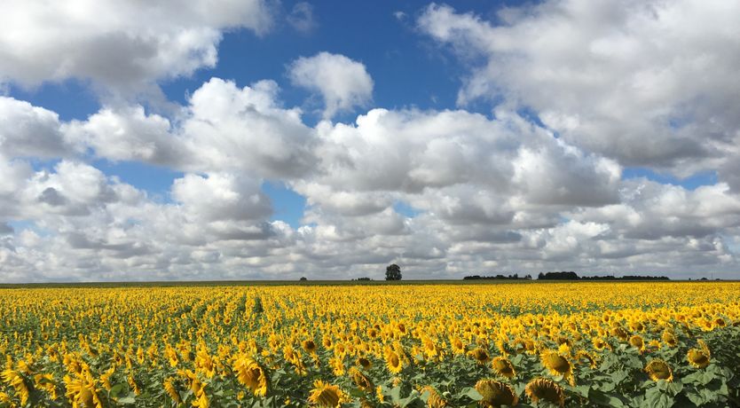 Photo of Loire Valley Delight