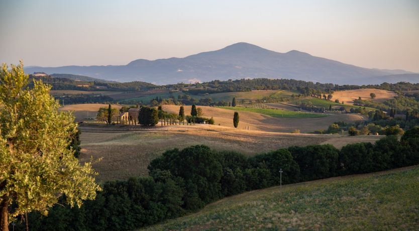 Photo of A Tuscan Rhapsody