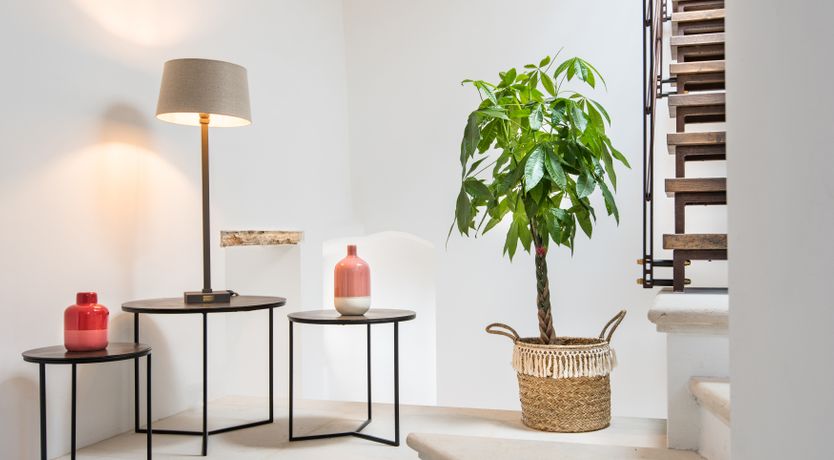 Photo of Hillside Splendour