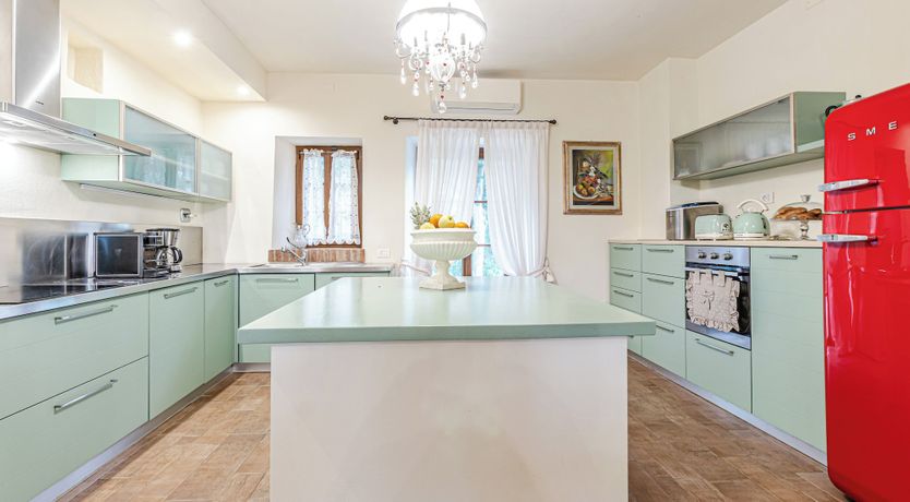 Photo of Lavender Vine