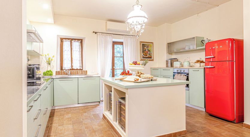 Photo of Lavender Vine