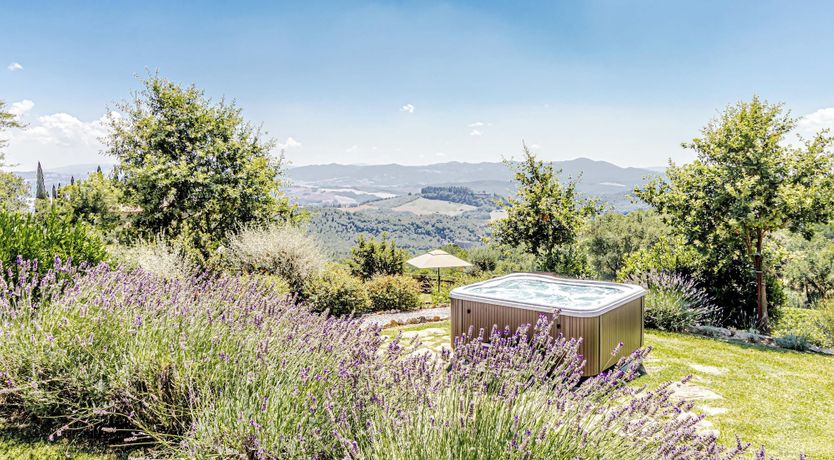 Photo of Lavender Vine