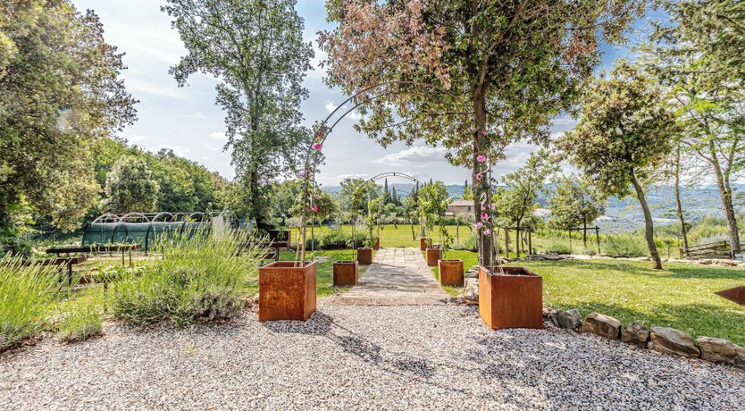 Photo of Lavender Vine