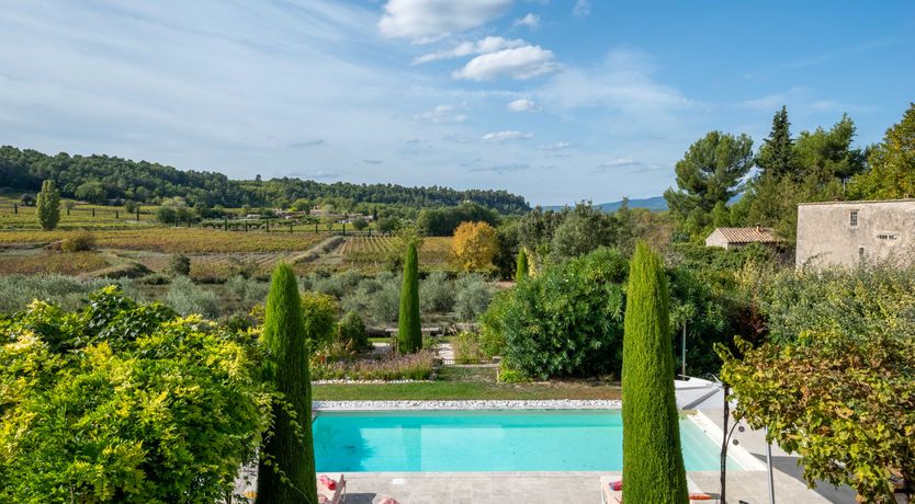 Photo of Vines & Perfume