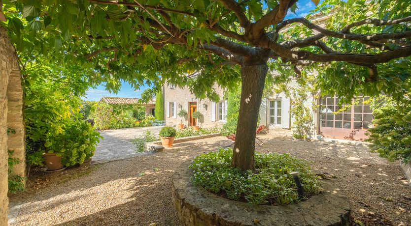 Photo of Vines & Perfume