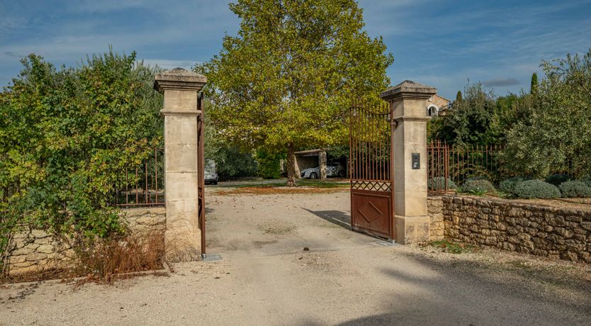 Photo of Vines & Perfume