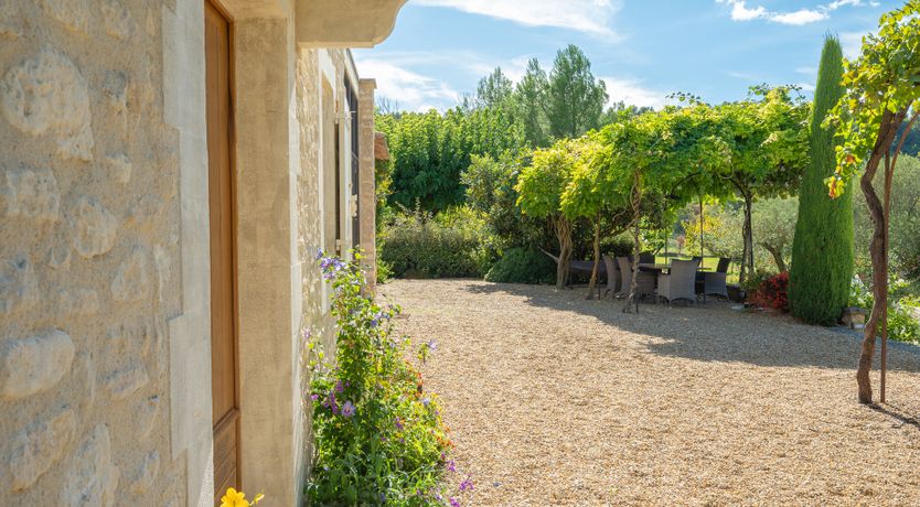 Photo of Vines & Perfume