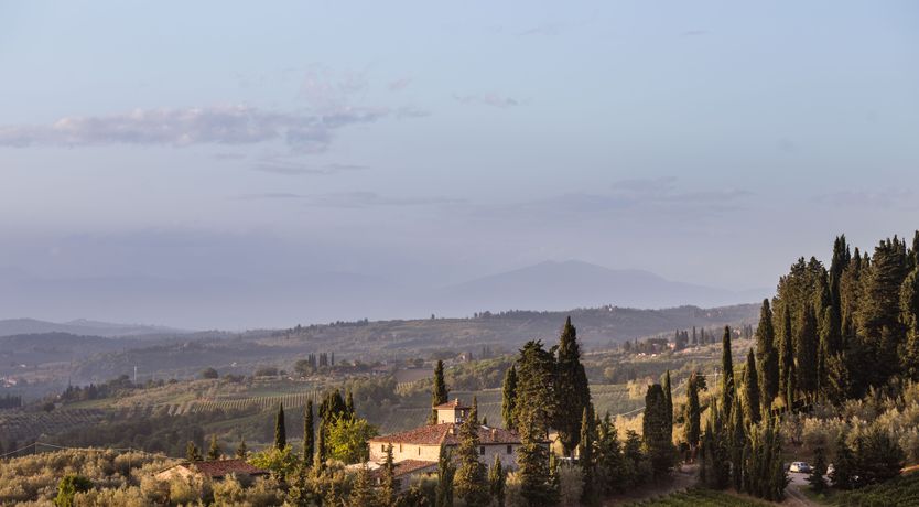 Photo of Cypress Sky