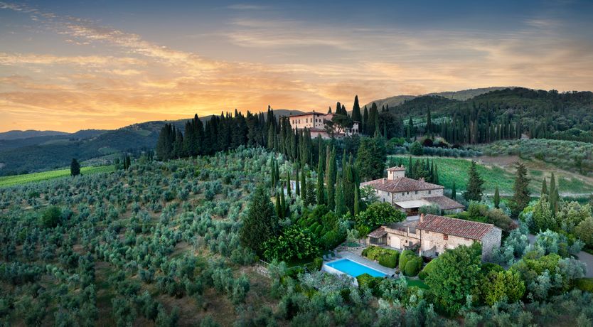 Photo of Cypress Sky