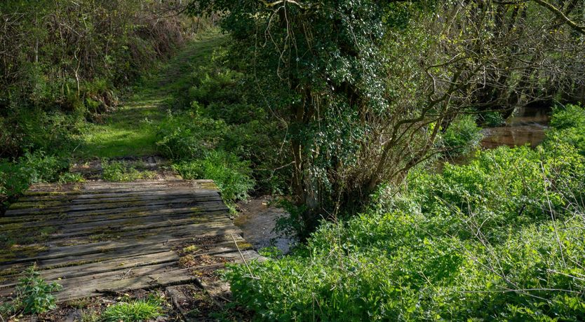 Photo of Deep in the Countryside