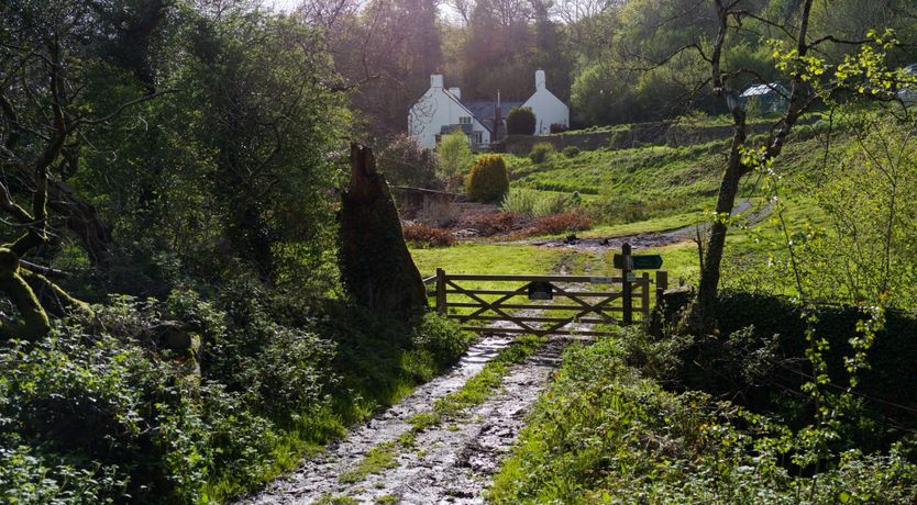 Photo of Deep in the Countryside
