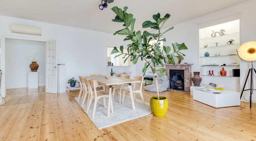 Photo of Cascais Crush