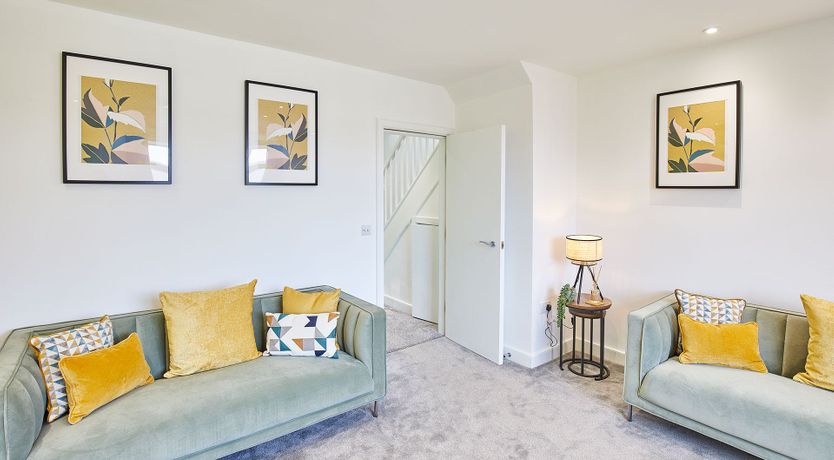 Photo of Dandelion & Bumblebee