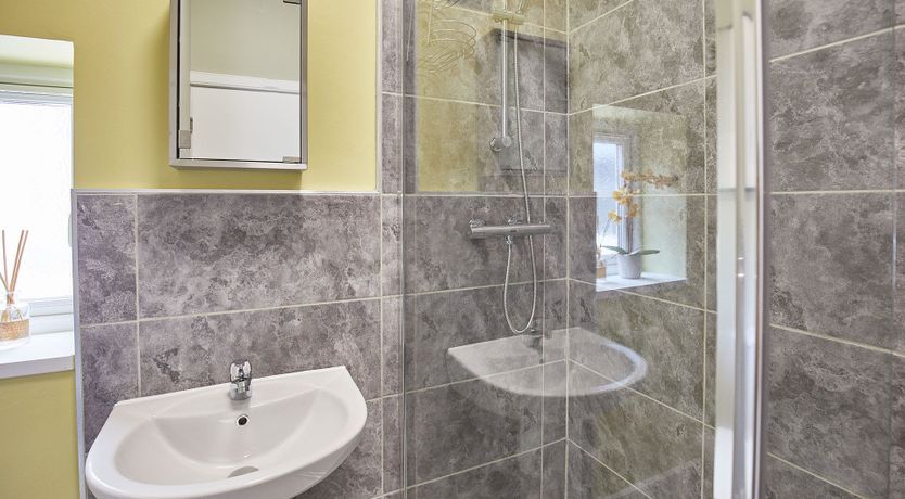 Photo of Dandelion & Bumblebee