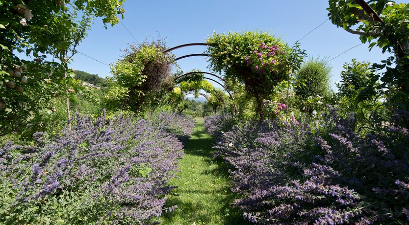 Photo of The Sun's Rainbow