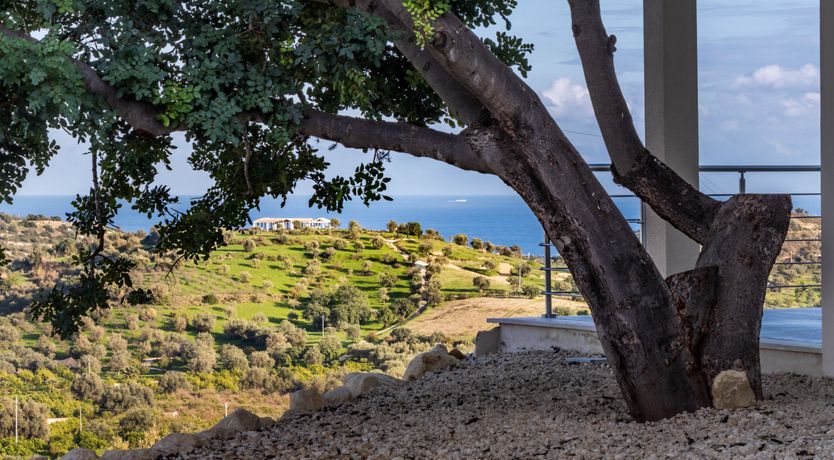 Photo of Chasing Bliss