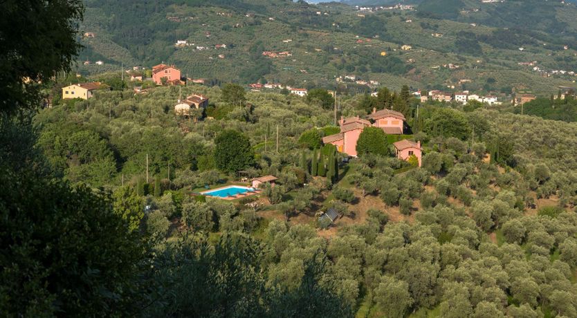 Photo of Tuscan Rosette