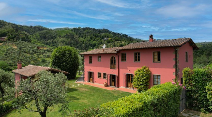 Photo of Tuscan Rosette