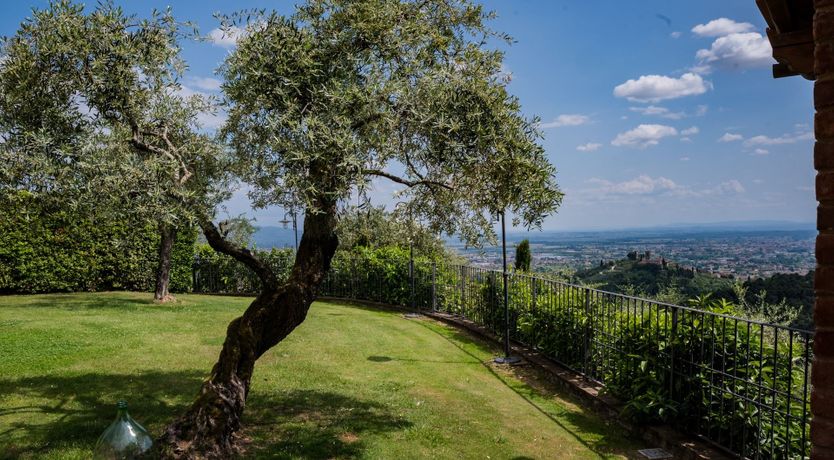 Photo of Tuscan Rosette