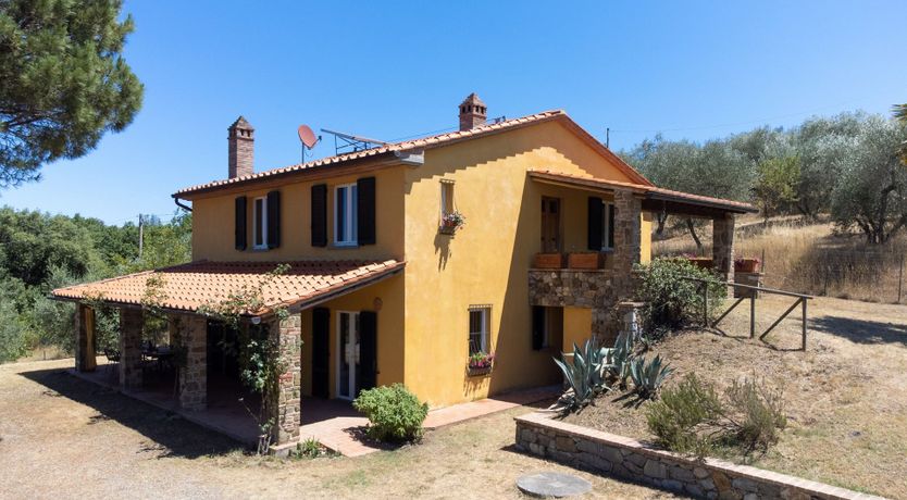 Photo of Feeling Light