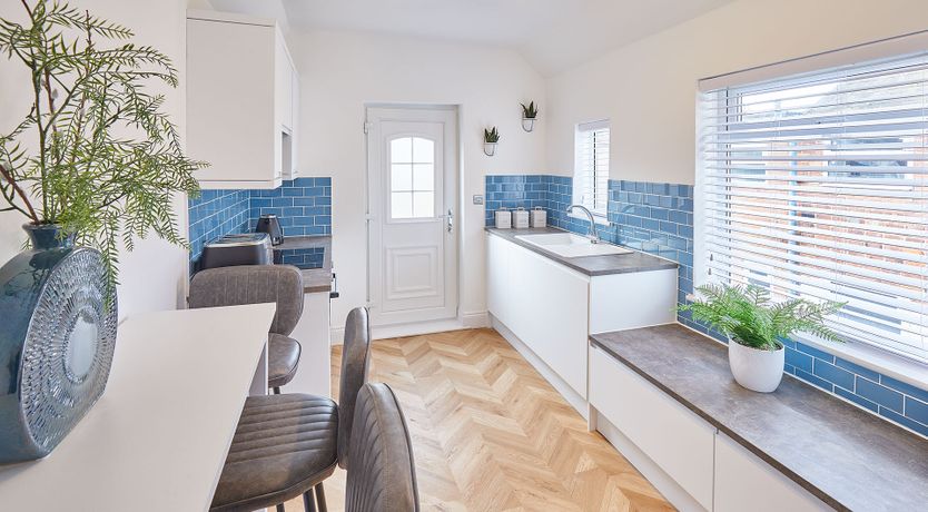 Photo of Blues of Nature