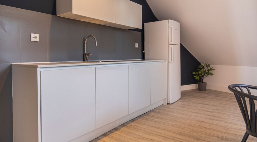 Photo of Admiral Blue