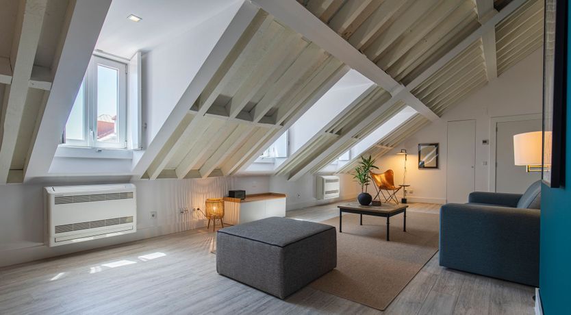 Photo of Admiral Blue