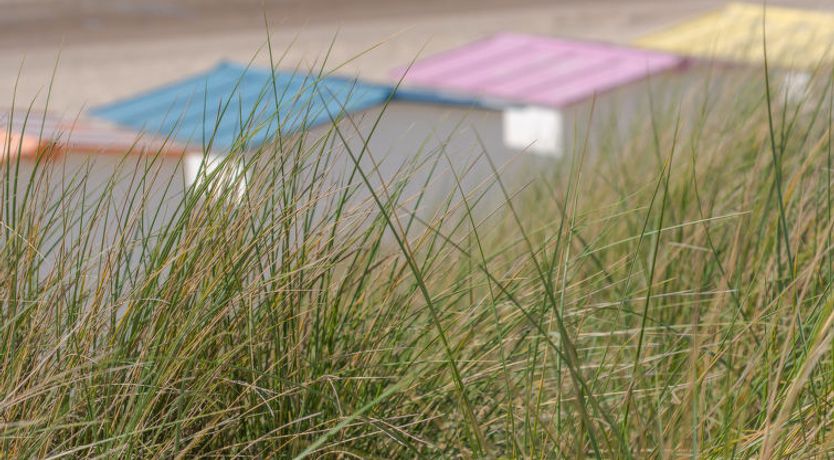 Photo of Geluid van de zee