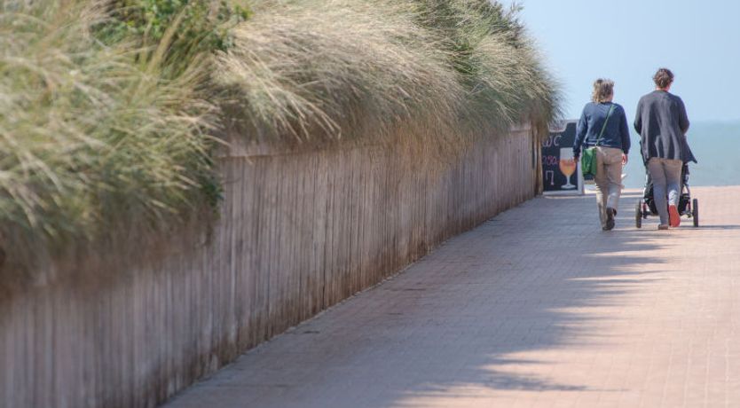 Photo of Geluid van de zee