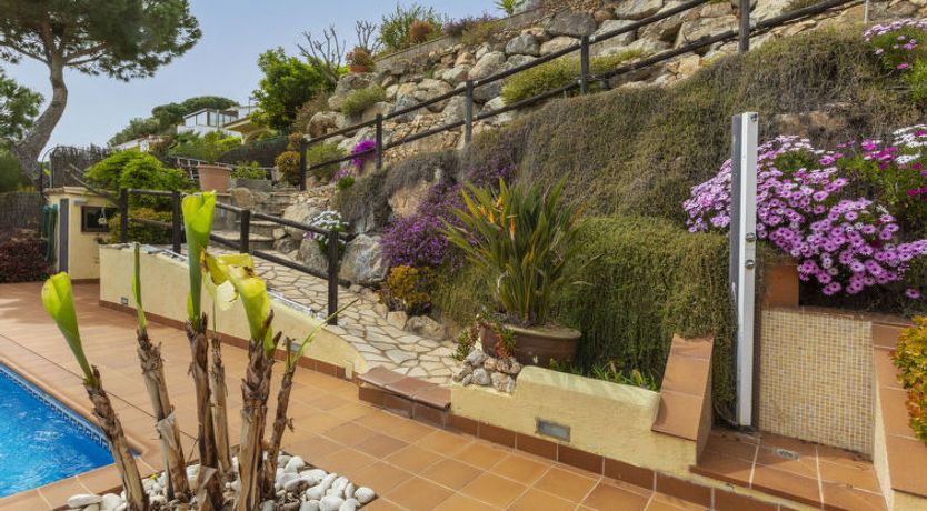 Photo of Luz del Mar