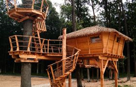 Photo of treehouse