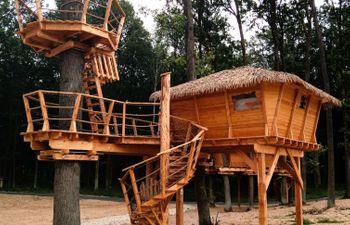 Treehouse 1 Holiday Home