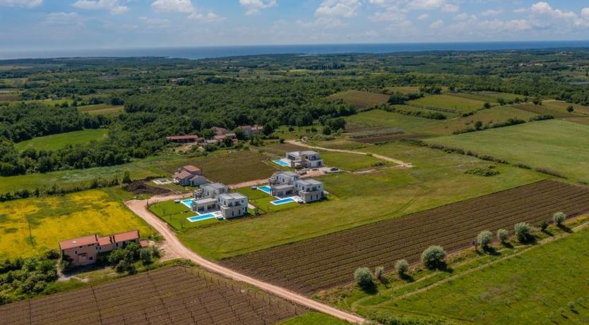 Photo of Stella & Alba