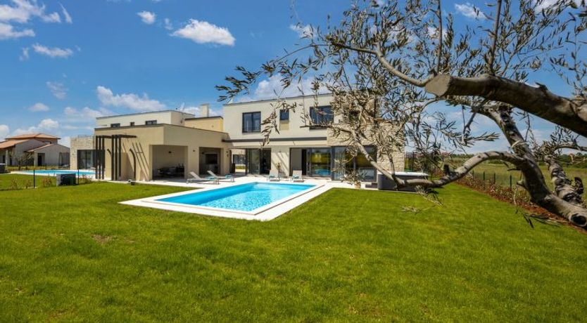 Photo of Stella & Alba