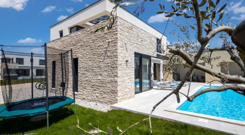 Photo of Stella & Alba