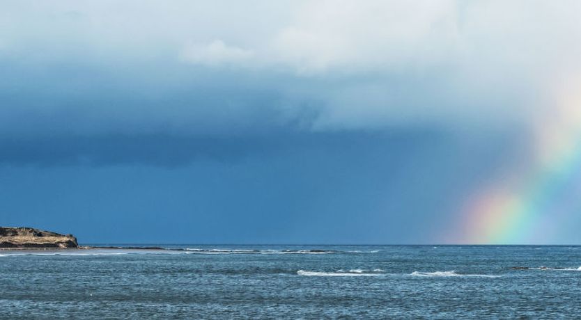 Photo of Harbour Nights Deluxe 7D