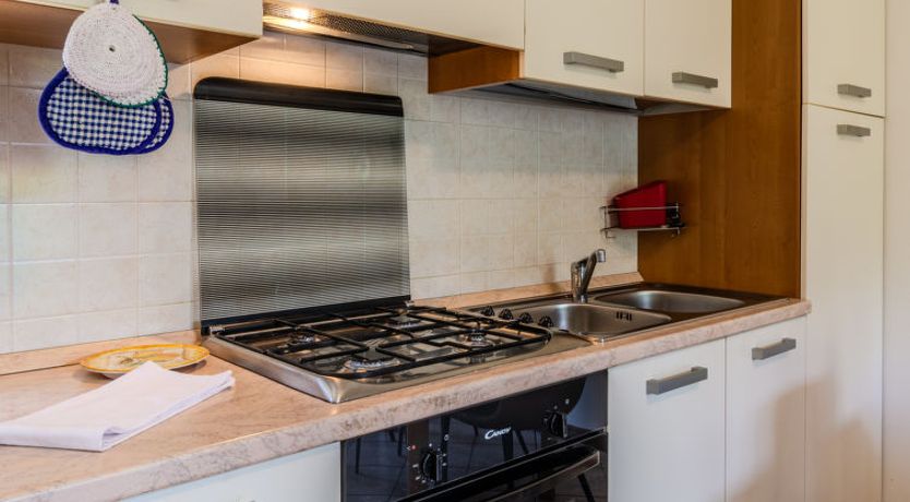 Photo of Flower Garden