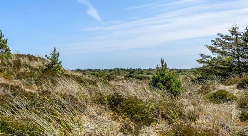 Photo of "Thorkil" - 800m from the sea