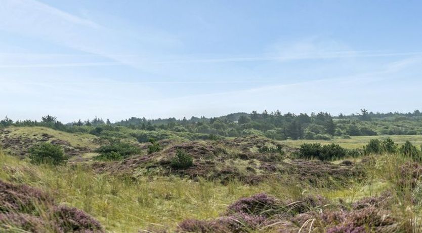 Photo of "Thorkil" - 800m from the sea