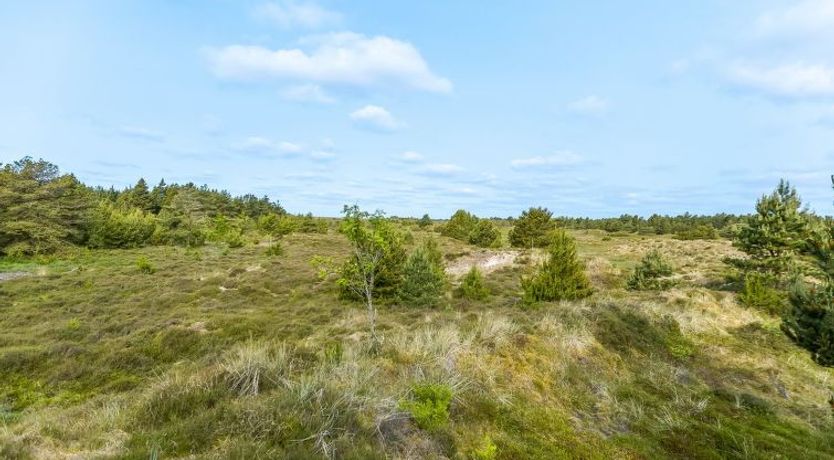 Photo of "Ibbe" - 3.5km from the sea