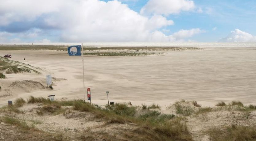 Photo of "Mijat" - 50m from the sea