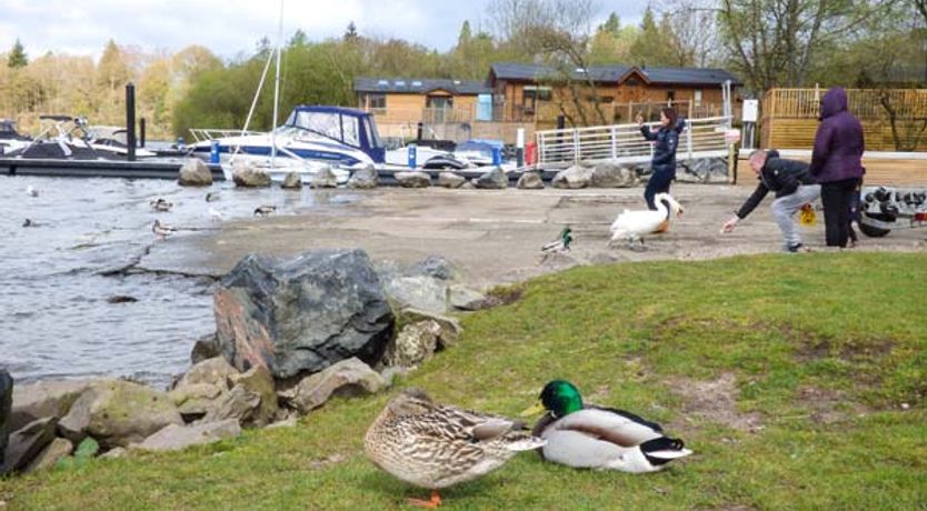 Photo of Coniston Number 9