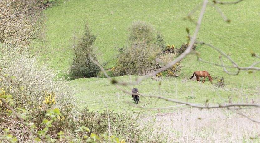 Photo of 16 Badgers Retreat