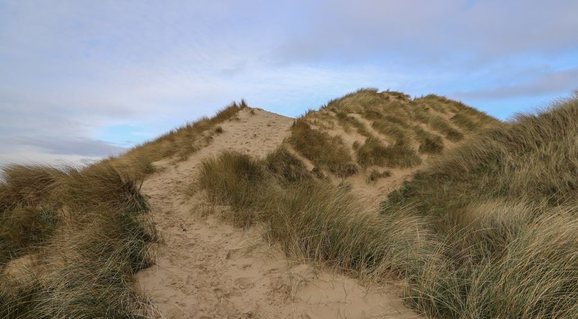 Photo of McAuliffe Lodge