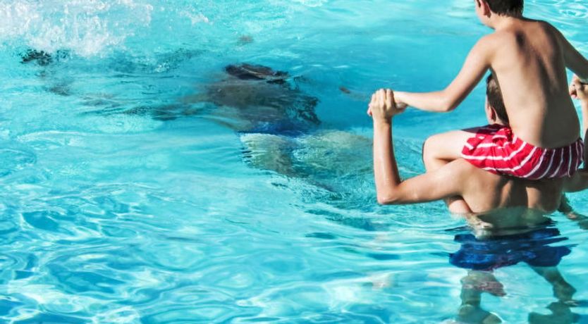 Photo of Grand Balcon, Piscine et proche du Port