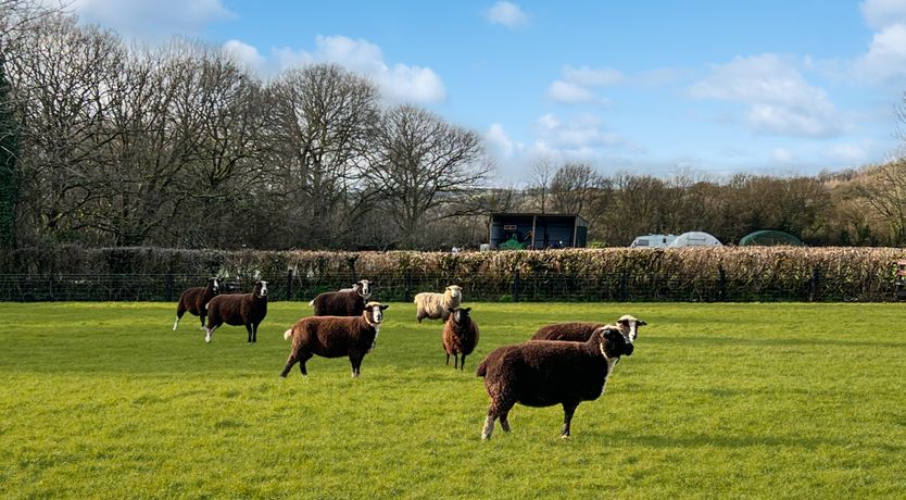 Photo of The Dairy, Waterrow