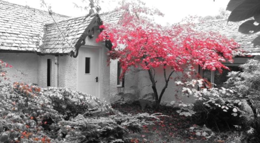 Photo of Dhivach Lodge