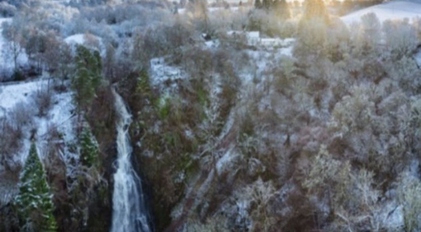 Photo of Dhivach Lodge